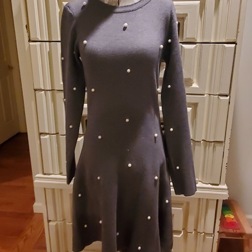 Zara Skater Dress
